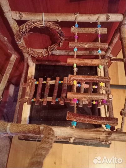 Игровой стенд для попугаев присадка