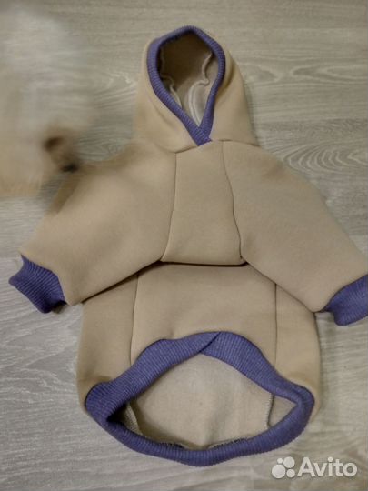 Одежда для собак