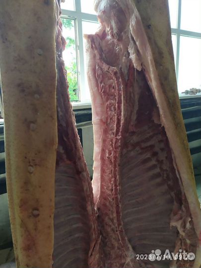 Мясо свинина домашняя