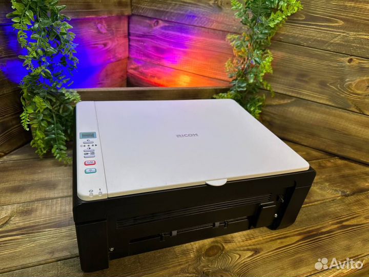 Мфу Ricoh sp100su