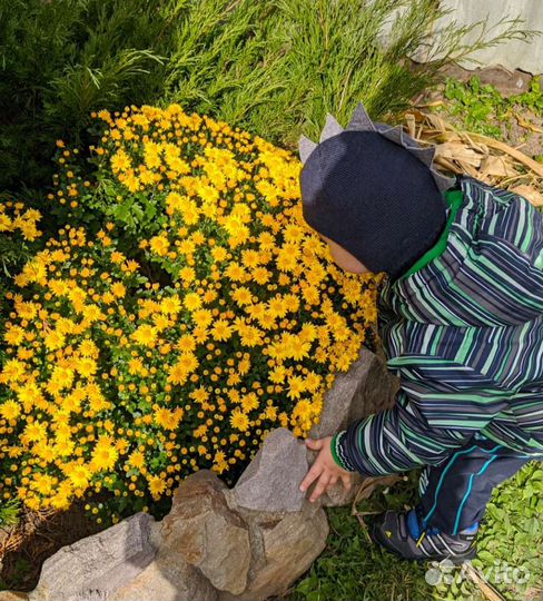 Шапка шлем Чудо-кроха