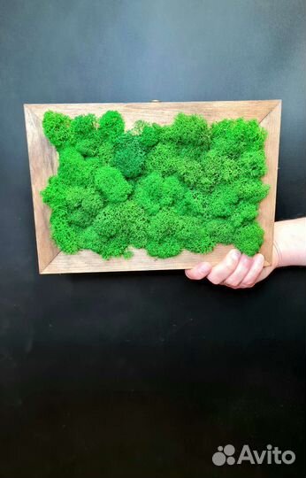 Картина из мха, фитопанно, стабилизированный мох