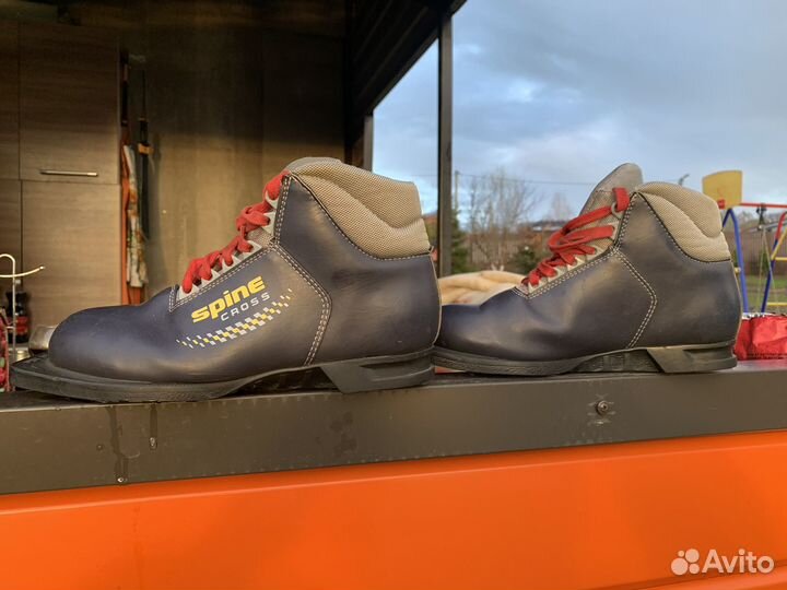 Лыжные ботинки