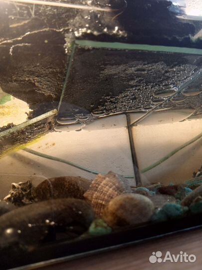 Аквариум для черепах 20 литров