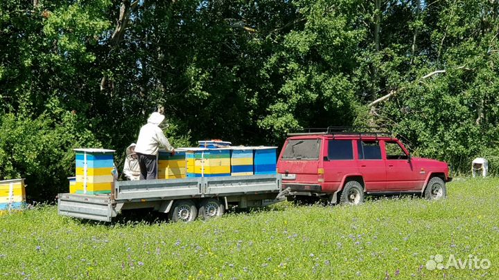 Продукты пчеловодства