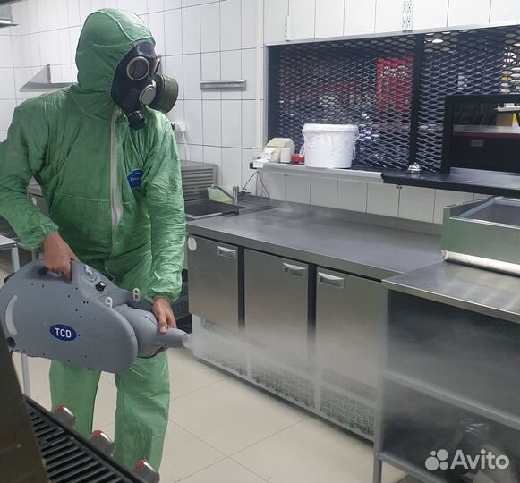 Уничтожение клопов тараканов клещей плесени