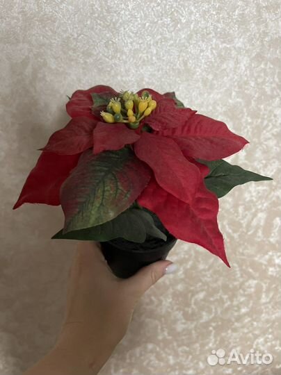 Икеа, фейка