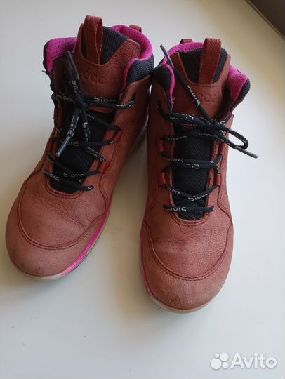 Ecco 36 для девочки Экко