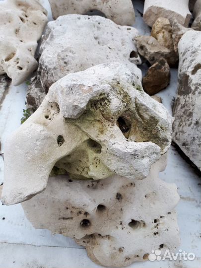 Камни для аквариума и террариума