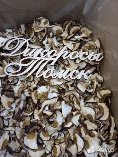 Грибы белые