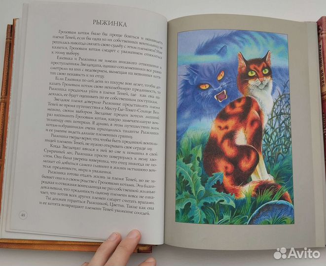 Книги Коты-Воители