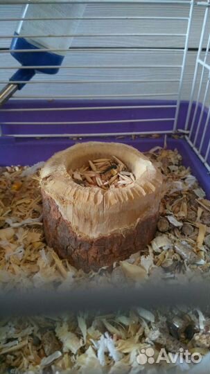 Для мелких животных