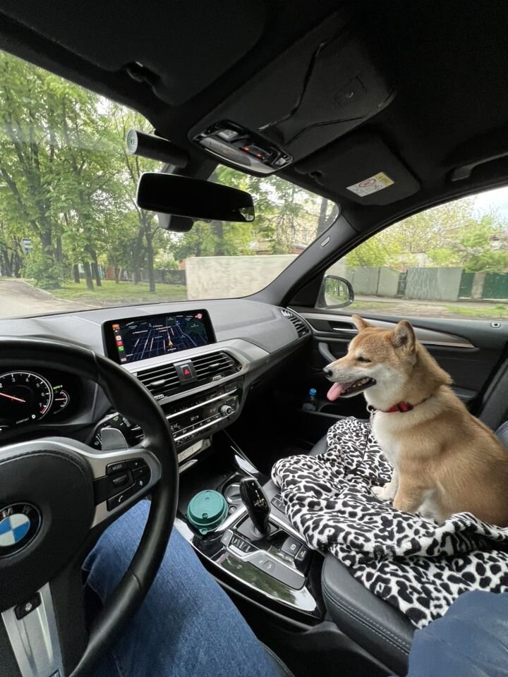 BMW X3: фото владельца