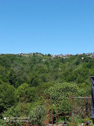 Участок 6 сот. (СНТ, ДНП)