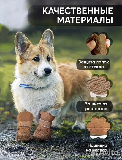 Ботинки для маленьких собак