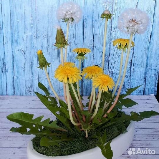 Одуванчики из холодного фарфора