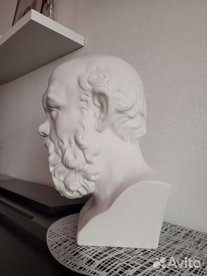 Гипсовые головы Цезарь, Сократ