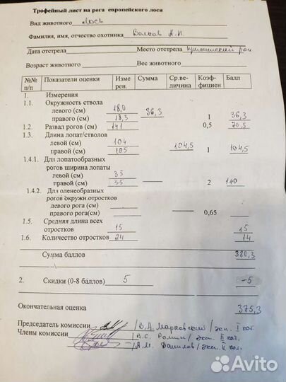 Продам рога лося