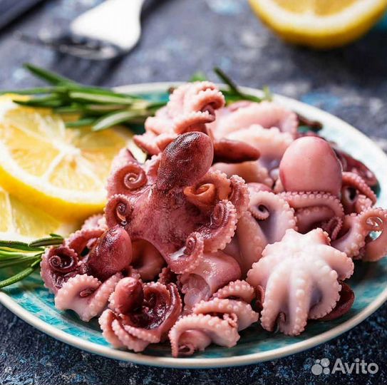 Осьминог беби