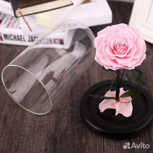 Роза в Колбе Живая Доставка до дверей