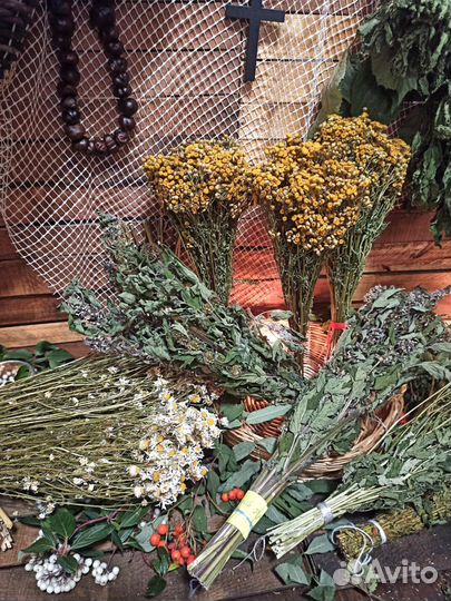 Сушеные травы Пижма, пустырник, ромашка