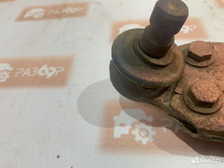 Рычаг подвески передний правый Ford Focus DBW