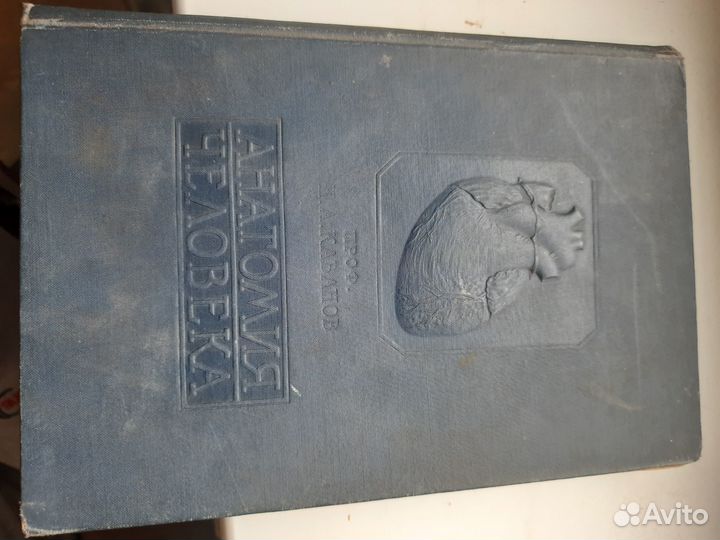 Кабанов Н. А. Анатомия человека 1938 г