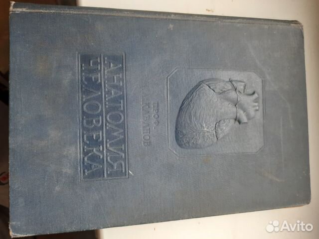 Кабанов Н. А. Анатомия человека 1938 г