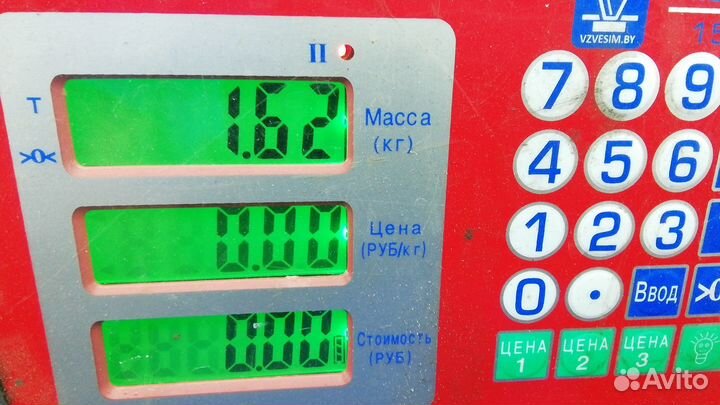 Амортизатор задний Toyota RAV 4 (00-05 года) ACA20