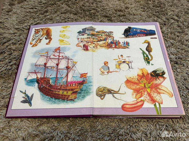 Большая книга знаний для детей энциклопедия