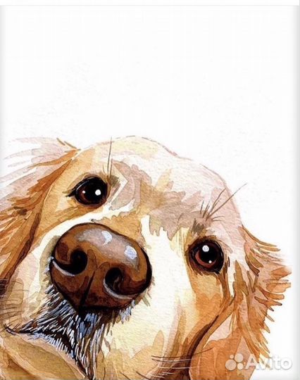 Портрет питомца на заказ
