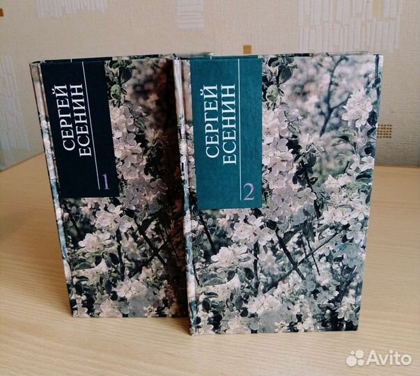 Сергей Есенин двухтомник редкое издание