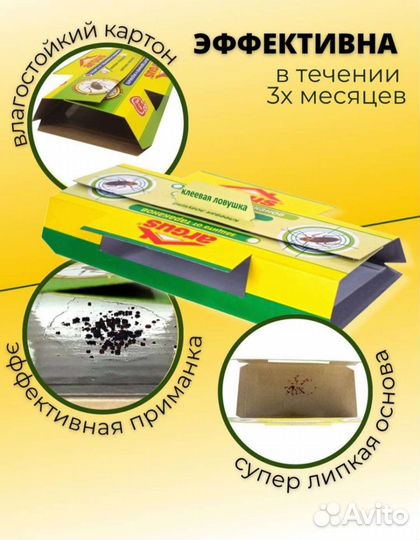 Ловушка для тараканов