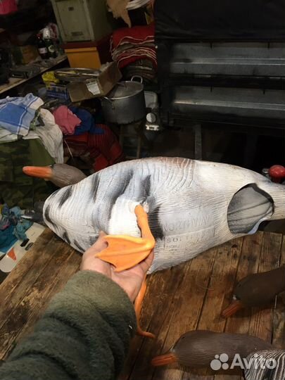 Чучела гусей и уток