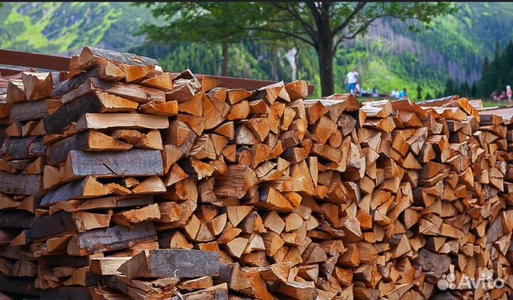 Дрова осина