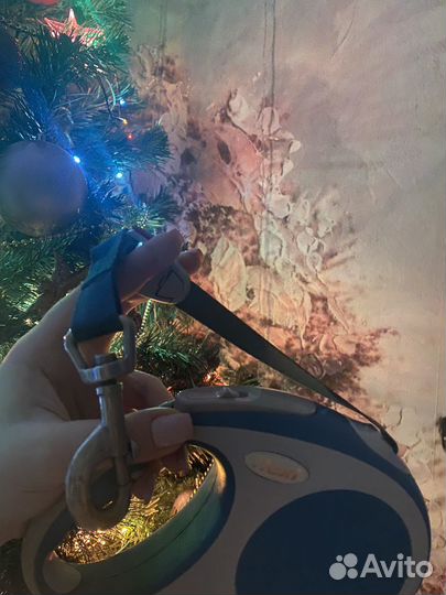 Поводок рулетка flexi 5м