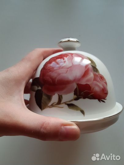 Масленка/Лимонница