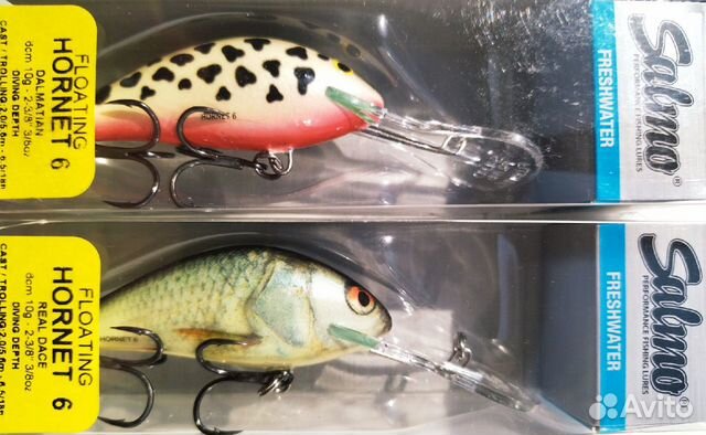 Salmo Hornet 6F - DAL/RD