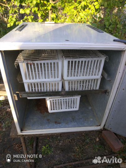 Инкубатор ипх 10