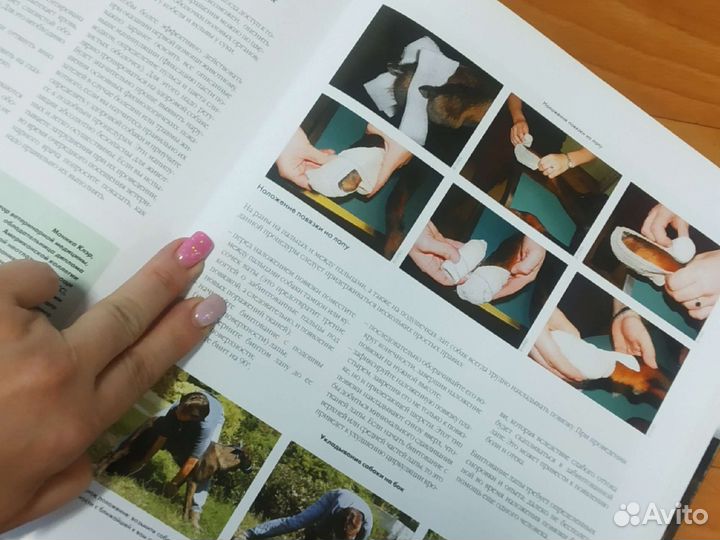 Энциклопедия собаки