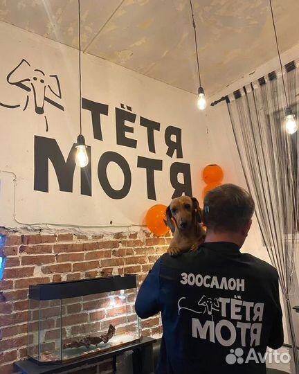 Стрижка собак. Грумер