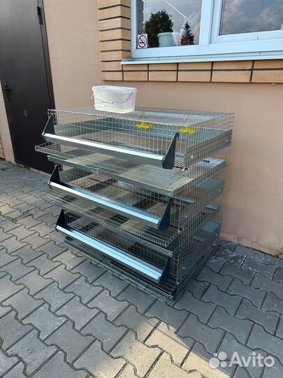 Клетки для перепелов на 150 голов