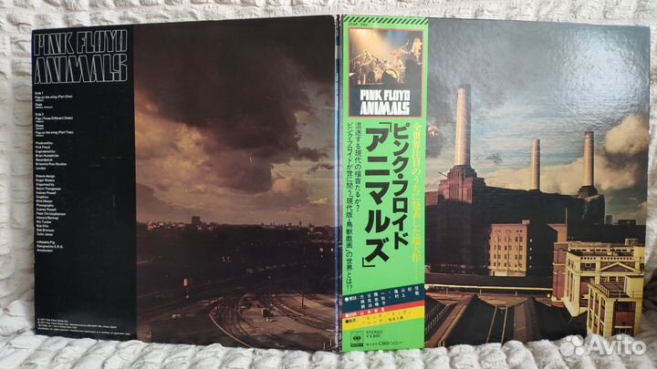 Pink Floyd – Animals, 1977 Japan