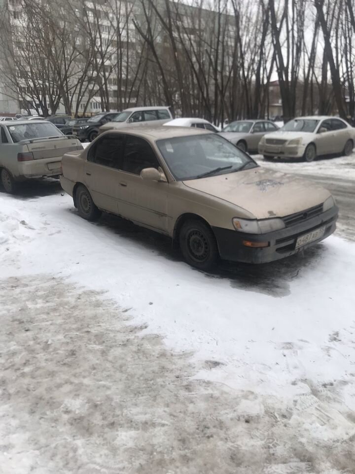 Toyota Corolla: фото владельца