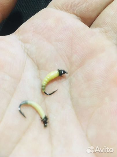 Мухи « пыздрики»