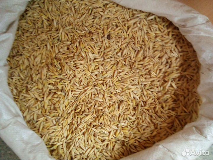 Кукуруза дробленая