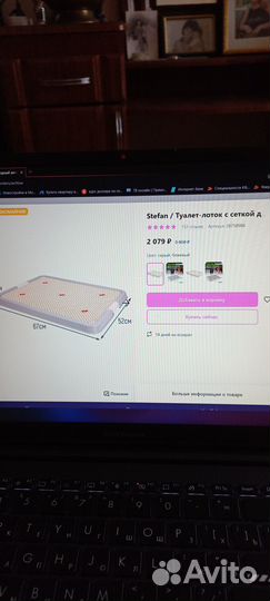 Туалет для животных