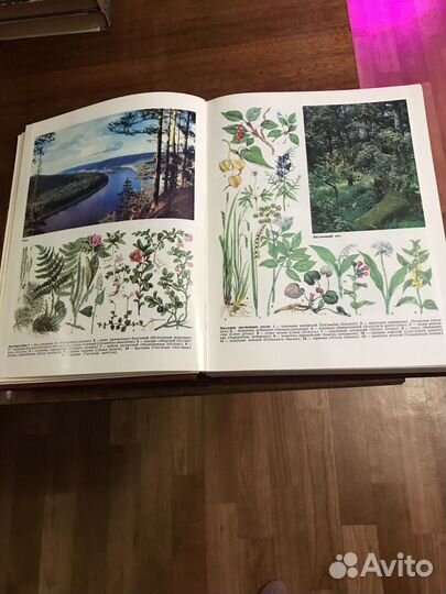 Книга Энциклопедический словарь СССР