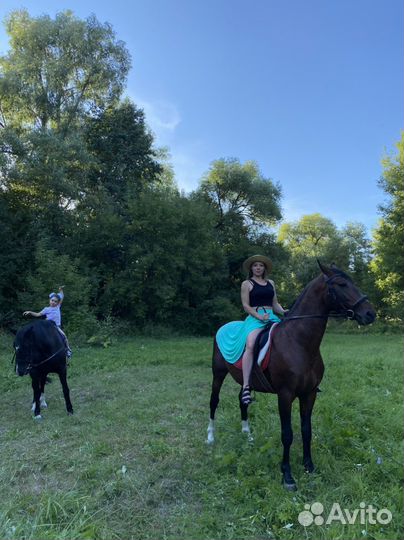 Конные прогулки за городом