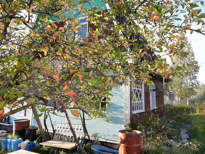 Дача 58 м² на участке 6 сот.